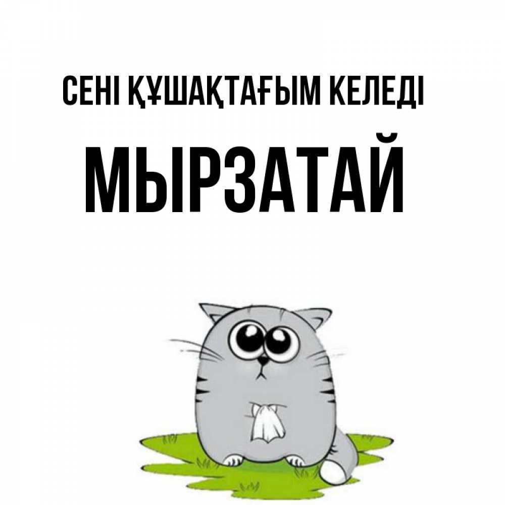 Күн сайын ашық хат с именем, Мырзатай сені құшақтағым келеді котик теребит платочек сидя на травке Онлайн тегін жүктеп алу тілектері бар керемет карта 