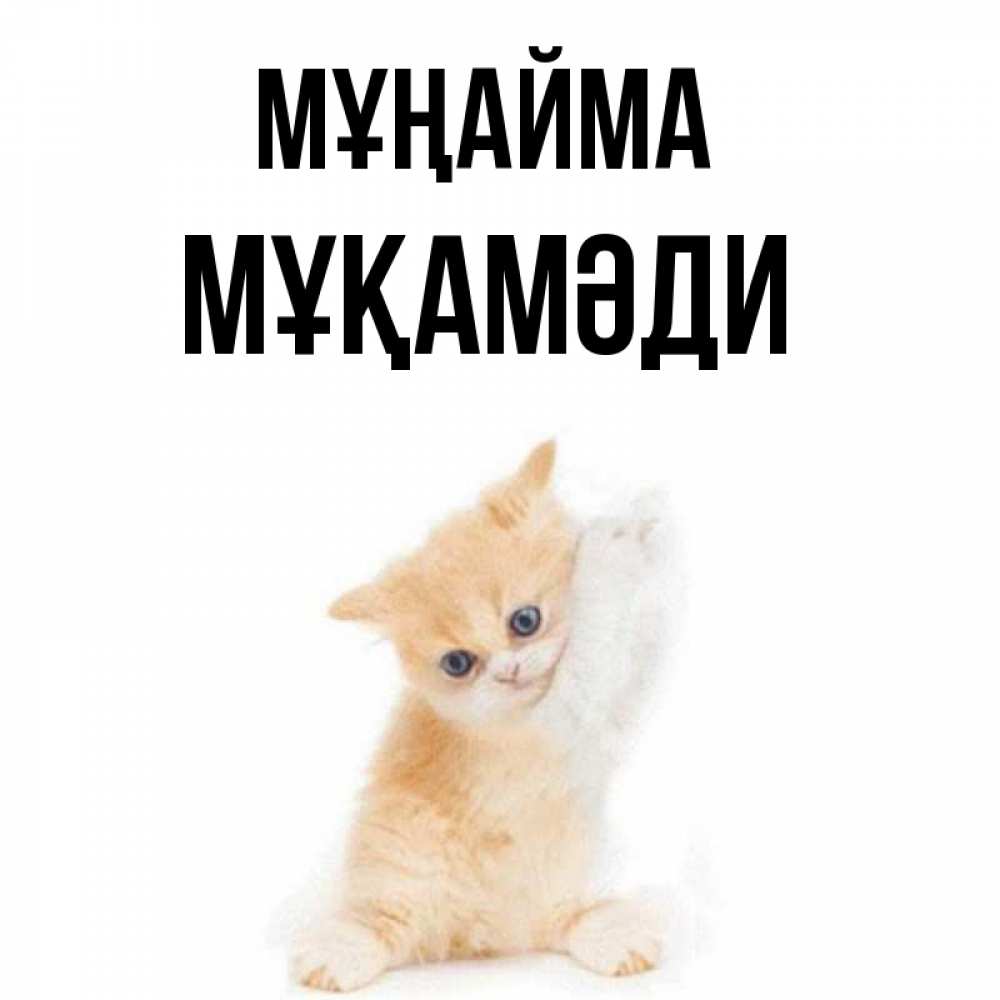 Күн сайын ашық хат с именем, МҰҚАМӘДИ Мұңайма просящий кот Онлайн тегін жүктеп алу тілектері бар керемет карта 