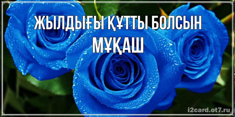 Күн сайын ашық хат с именем, Мұқаш Жылдығы құтты болсын розы с синим цветом Онлайн тегін жүктеп алу тілектері бар керемет карта 