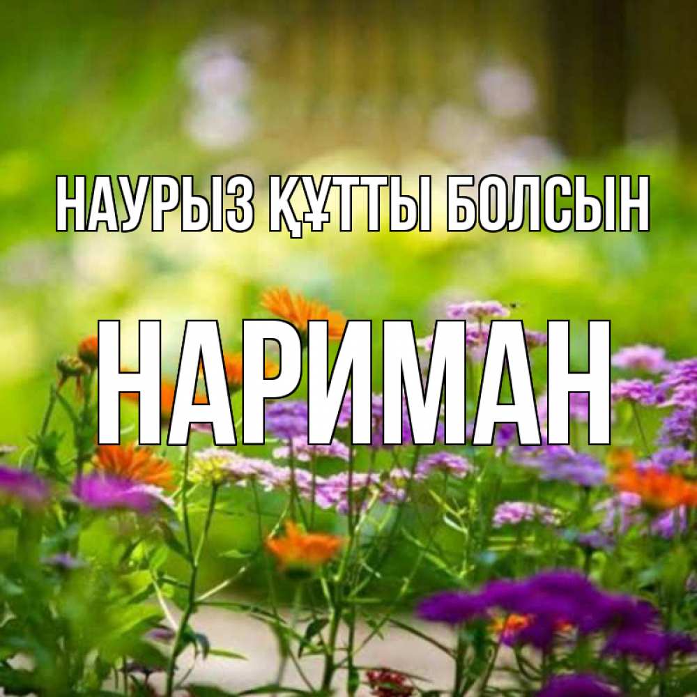 Күн сайын ашық хат с именем, НАРИМАН Наурыз құтты болсын цветы Онлайн тегін жүктеп алу тілектері бар керемет карта 
