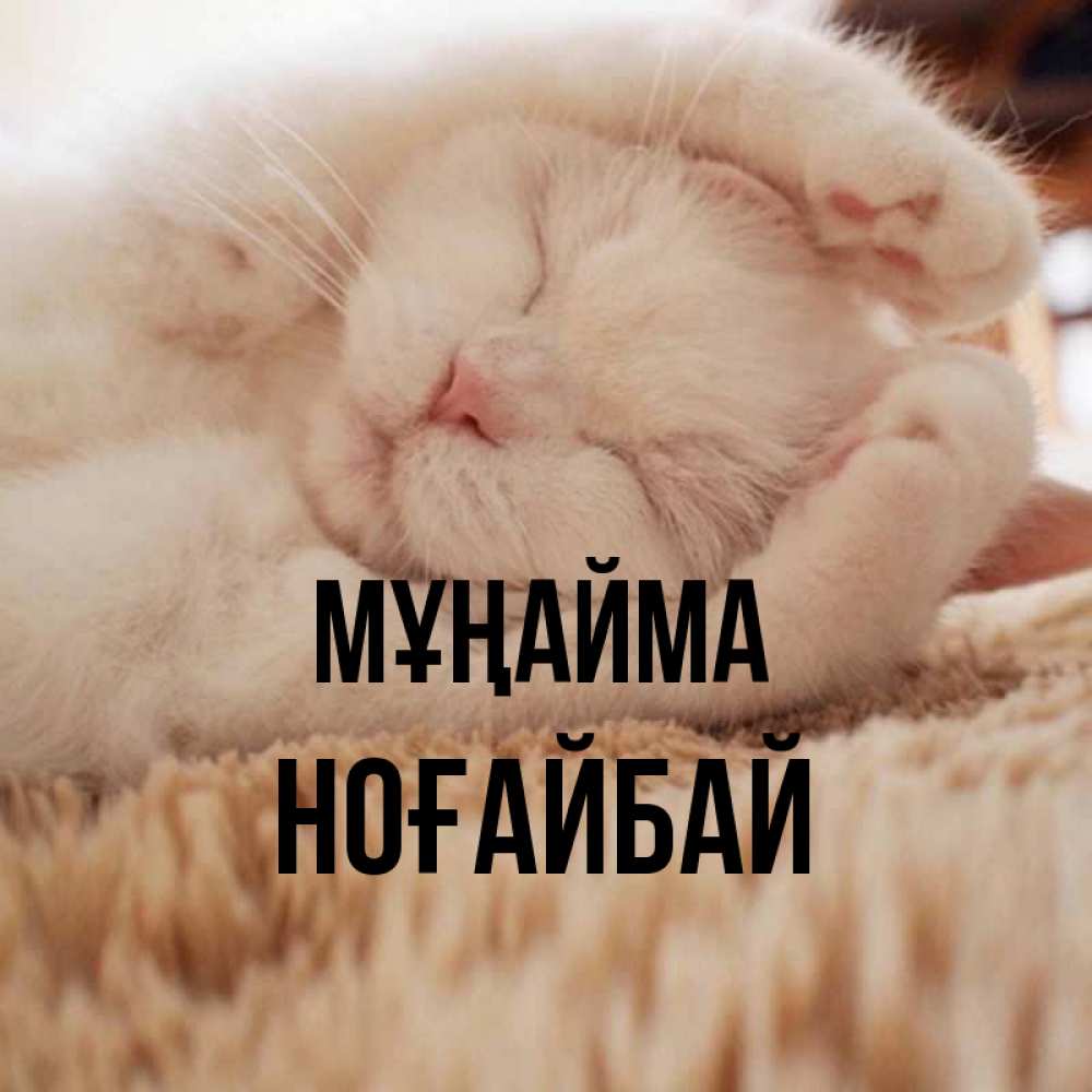 Күн сайын ашық хат с именем, НОҒАЙБАЙ Мұңайма Котенок спит Онлайн тегін жүктеп алу тілектері бар керемет карта 
