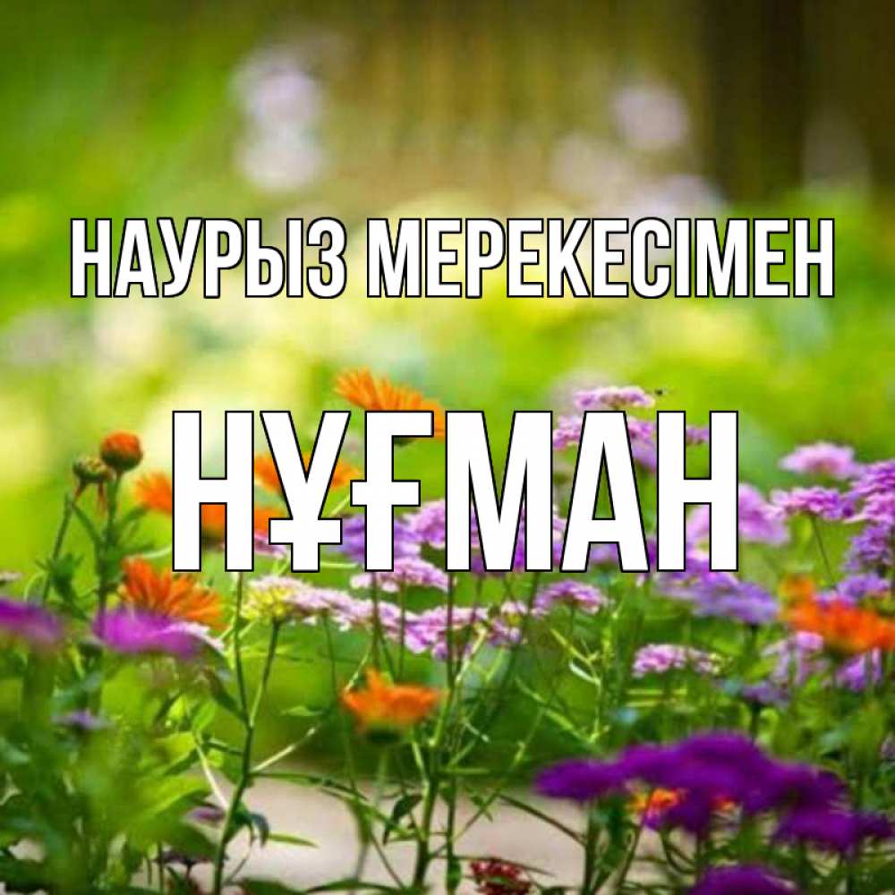 Күн сайын ашық хат с именем, НҰҒМАН Наурыз мерекесімен цветы Онлайн тегін жүктеп алу тілектері бар керемет карта 