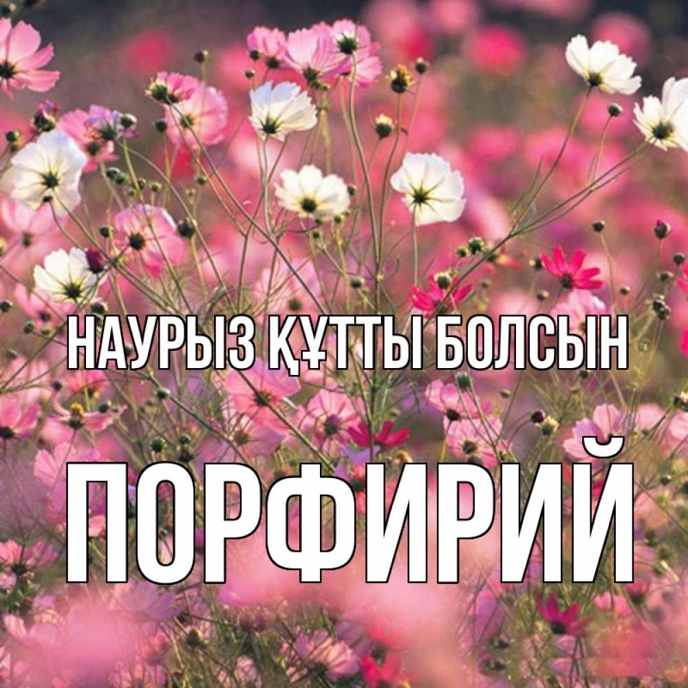 Күн сайын ашық хат с именем, Порфирий Наурыз құтты болсын красиво 1 Онлайн тегін жүктеп алу тілектері бар керемет карта 