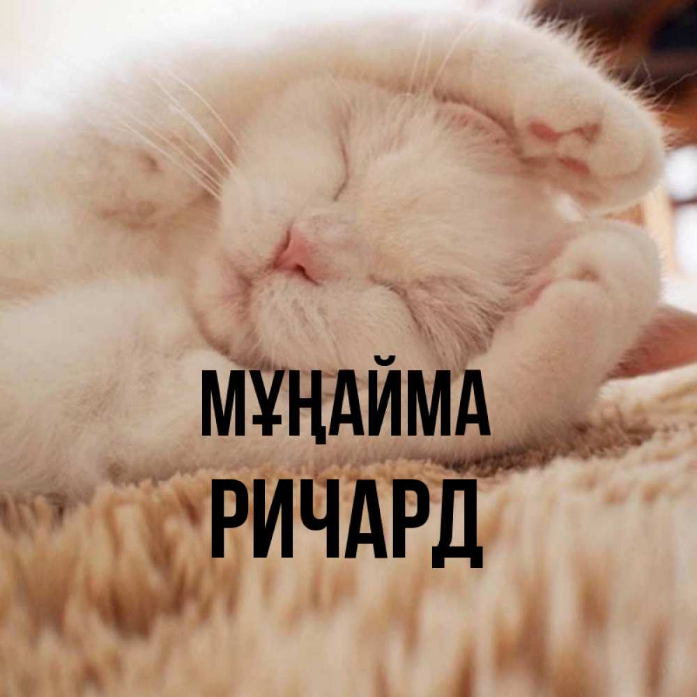 Күн сайын ашық хат с именем, Ричард Мұңайма Котенок спит Онлайн тегін жүктеп алу тілектері бар керемет карта 
