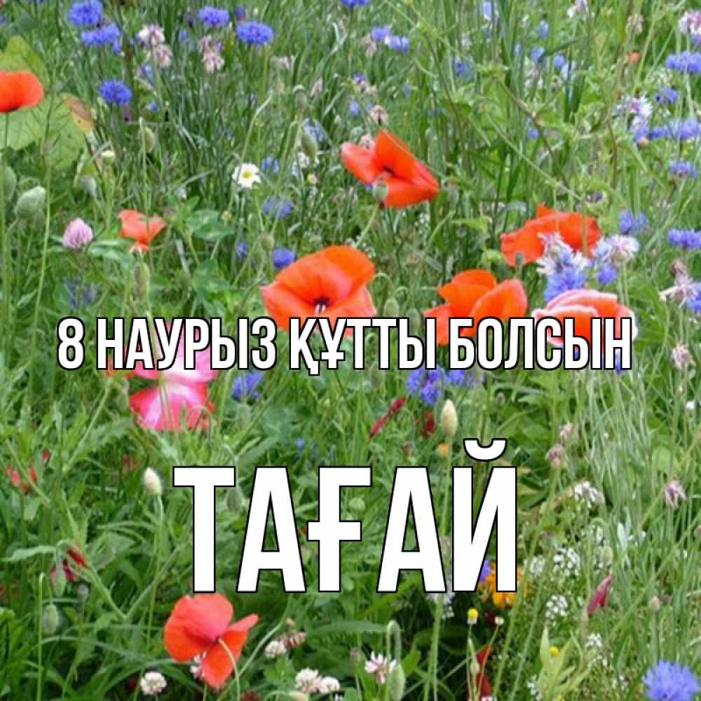 Күн сайын ашық хат с именем, ТАҒАЙ 8 наурыз құтты болсын международный женский день 4 Онлайн тегін жүктеп алу тілектері бар керемет карта 