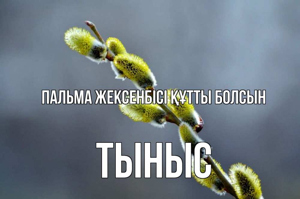 Күн сайын ашық хат с именем, ТЫНЫС Пальма жексенбісі құтты болсын верба Онлайн тегін жүктеп алу тілектері бар керемет карта 