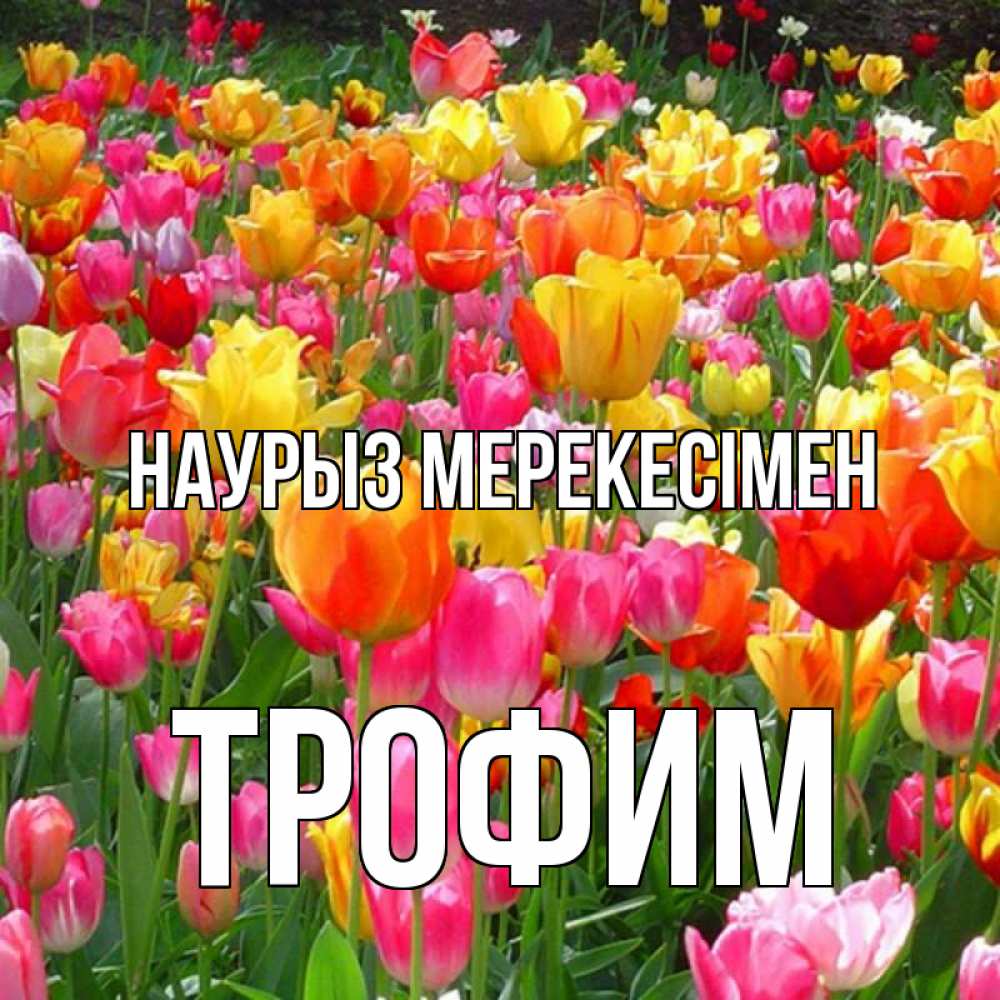 Күн сайын ашық хат с именем, Трофим Наурыз мерекесімен праздник весны наурыз 4 Онлайн тегін жүктеп алу тілектері бар керемет карта 