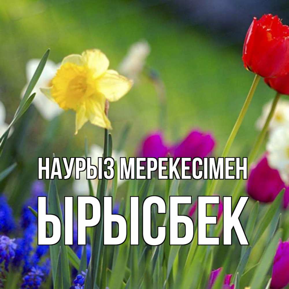 Күн сайын ашық хат с именем, ЫРЫСБЕК Наурыз мерекесімен праздник весны наурыз 3 Онлайн тегін жүктеп алу тілектері бар керемет карта 