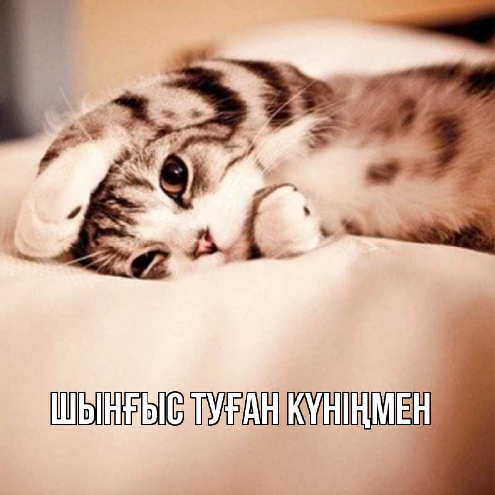 Картинка  с именем , ШЫНҒЫС! ТУҒАН КҮНІҢМЕН!