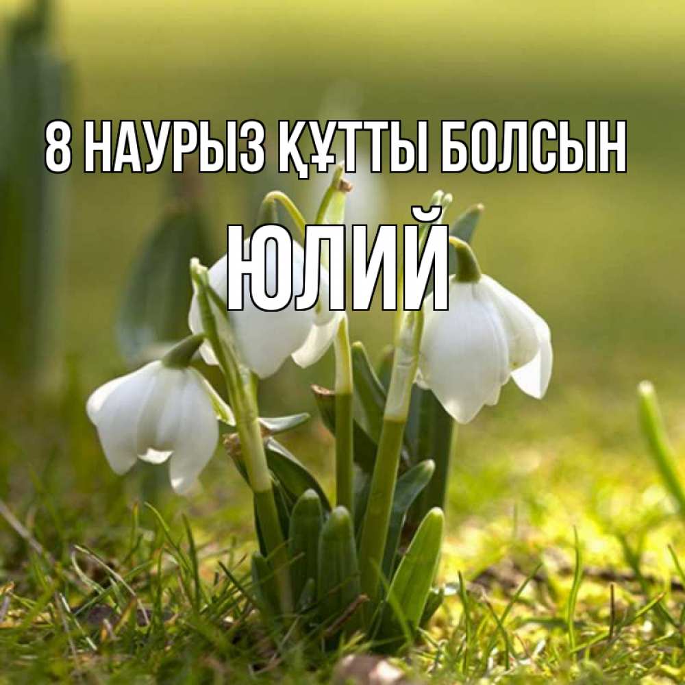 Күн сайын ашық хат с именем, Юлий 8 наурыз құтты болсын ранние цветы 2 Онлайн тегін жүктеп алу тілектері бар керемет карта 