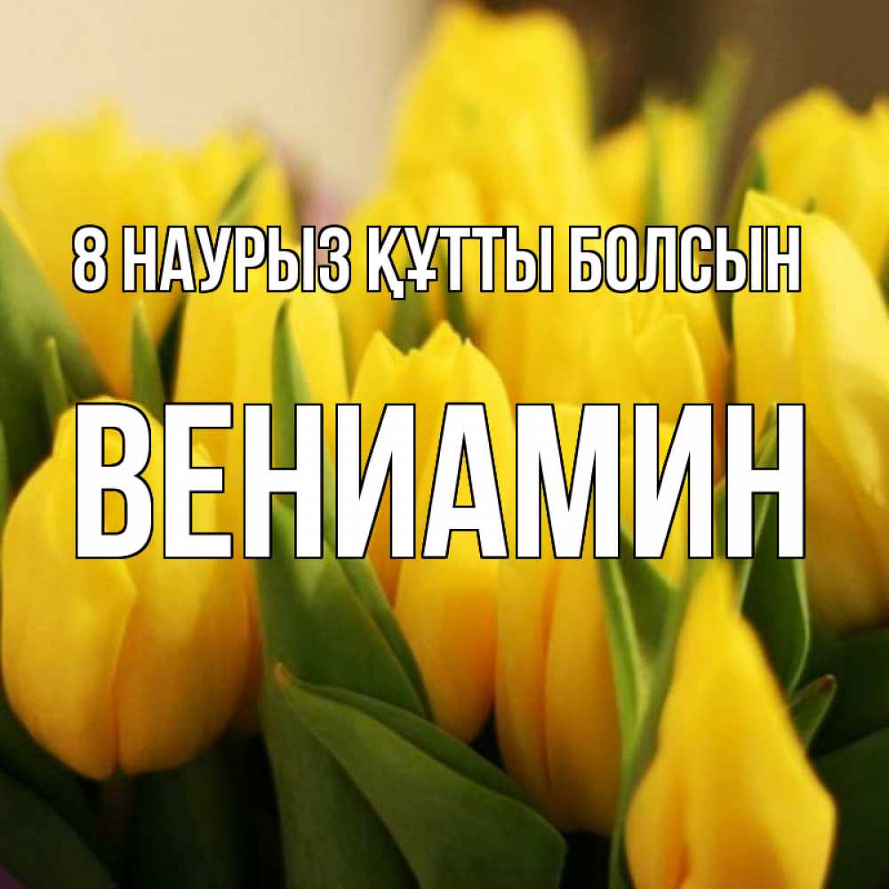 Күн сайын ашық хат с именем, Вениамин 8 наурыз құтты болсын цветы Онлайн тегін жүктеп алу тілектері бар керемет карта 