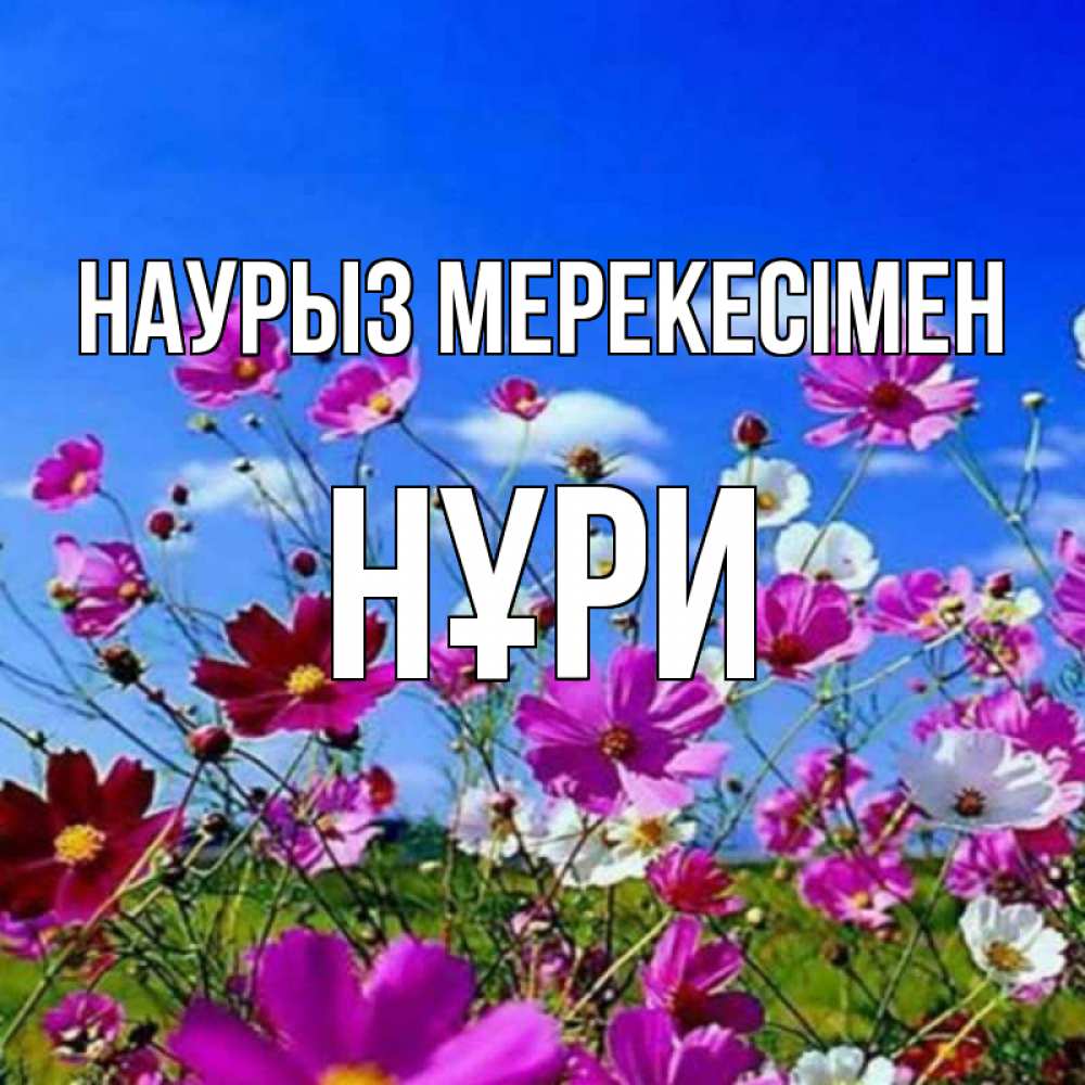 Күн сайын ашық хат с именем, НҰРИ Наурыз мерекесімен цветы Онлайн тегін жүктеп алу тілектері бар керемет карта 