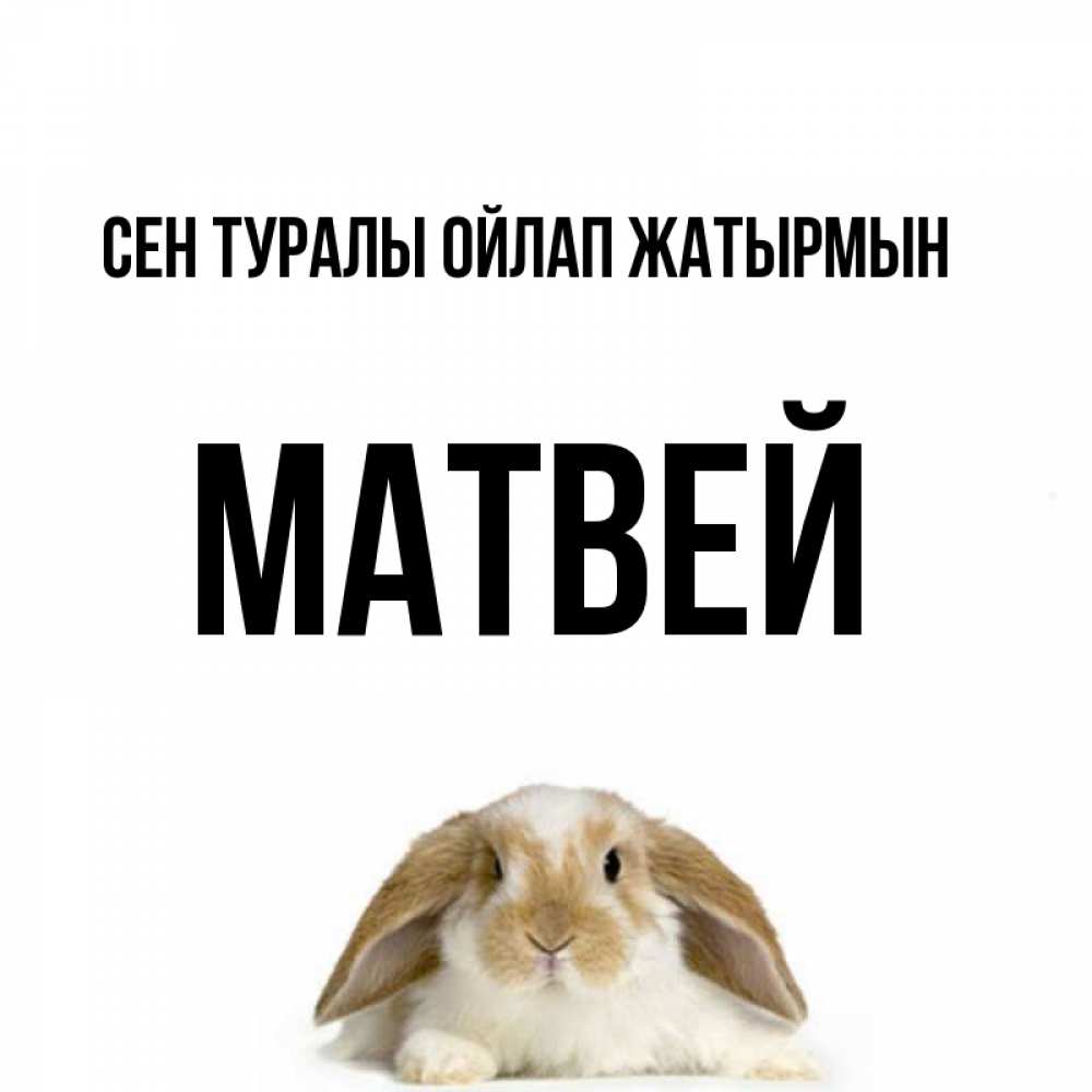 Күн сайын ашық хат с именем, Матвей Сен туралы ойлап жатырмын подписать своими руками онлайн Онлайн тегін жүктеп алу тілектері бар керемет карта 