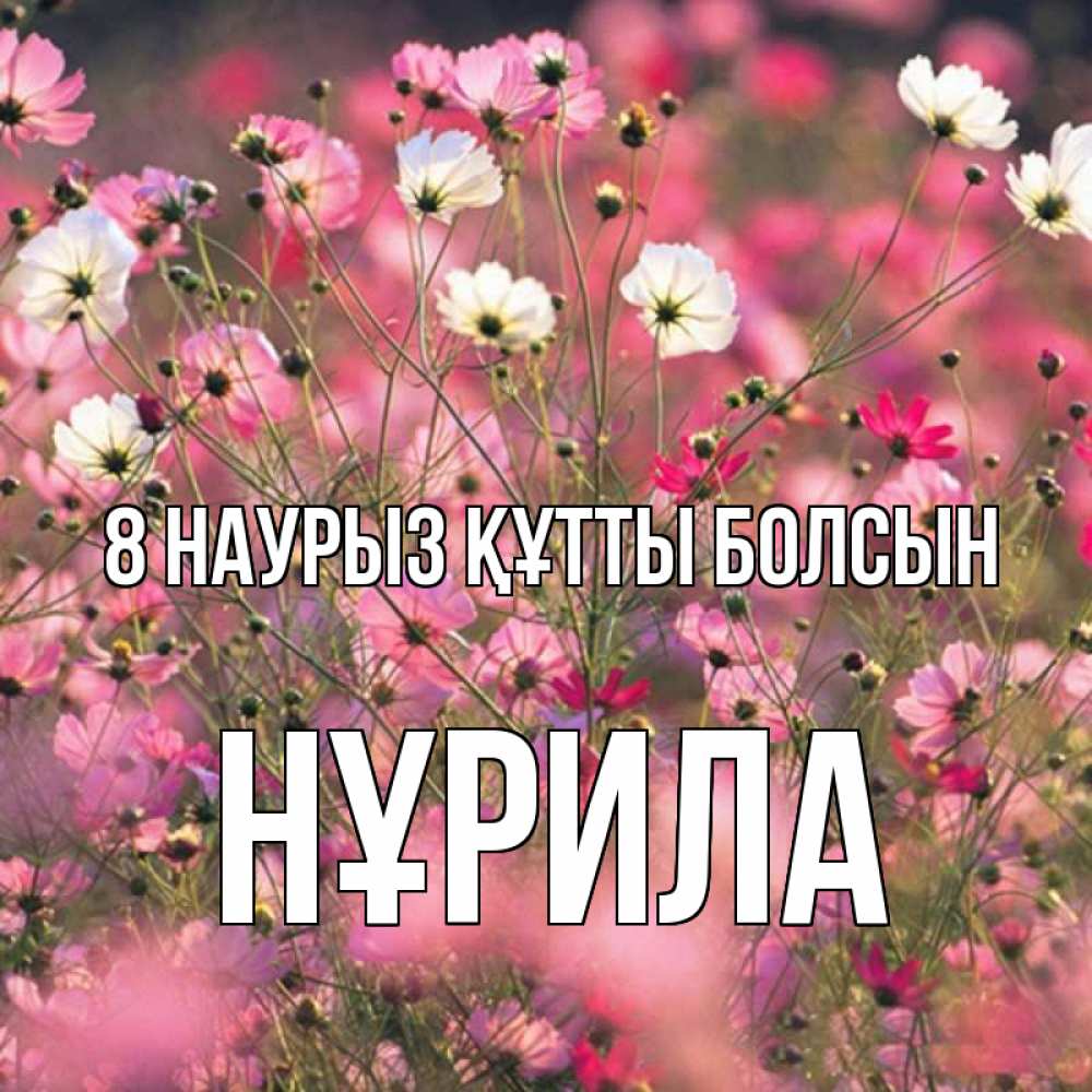 Күн сайын ашық хат с именем, НҰРИЛА 8 наурыз құтты болсын красиво 1 Онлайн тегін жүктеп алу тілектері бар керемет карта 