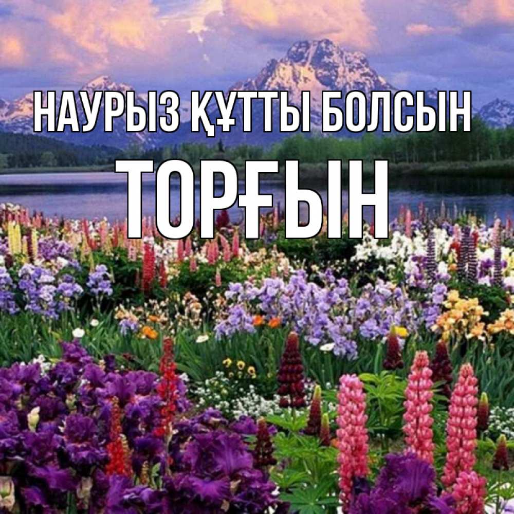 Күн сайын ашық хат с именем, ТОРҒЫН Наурыз құтты болсын наурыз Онлайн тегін жүктеп алу тілектері бар керемет карта 