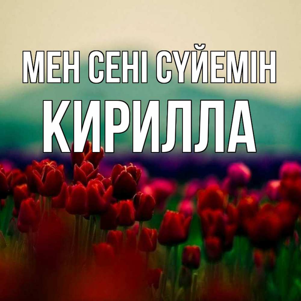 Күн сайын ашық хат с именем, Кирилла Мен сені сүйемін тюльпаны 4 Онлайн тегін жүктеп алу тілектері бар керемет карта 
