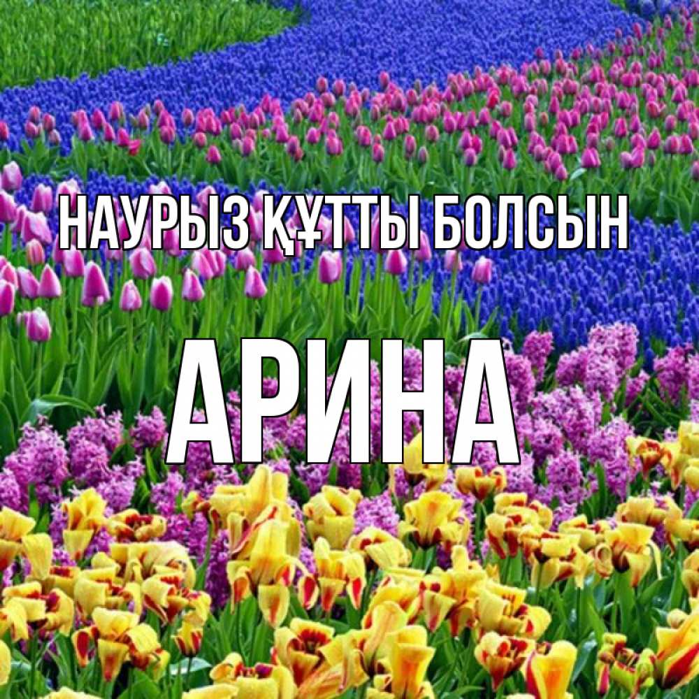 Күн сайын ашық хат с именем, Арина Наурыз құтты болсын цветы Онлайн тегін жүктеп алу тілектері бар керемет карта 