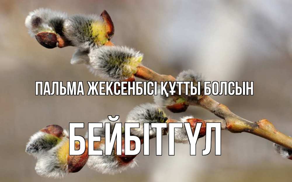 Күн сайын ашық хат с именем, БЕЙБІТГҮЛ Пальма жексенбісі құтты болсын Верба Онлайн тегін жүктеп алу тілектері бар керемет карта 
