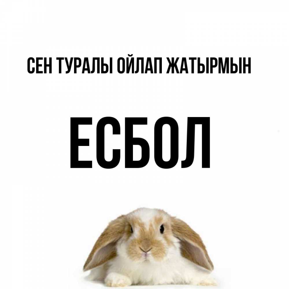 Күн сайын ашық хат с именем, Есбол Сен туралы ойлап жатырмын подписать своими руками онлайн Онлайн тегін жүктеп алу тілектері бар керемет карта 