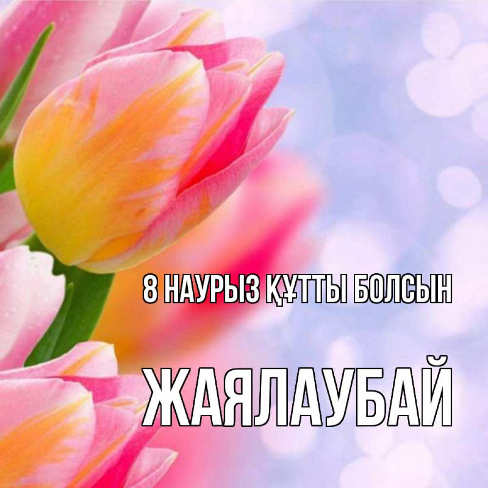 Күн сайын ашық хат с именем, Жаялаубай 8 наурыз құтты болсын тюльпаны 2 Онлайн тегін жүктеп алу тілектері бар керемет карта 