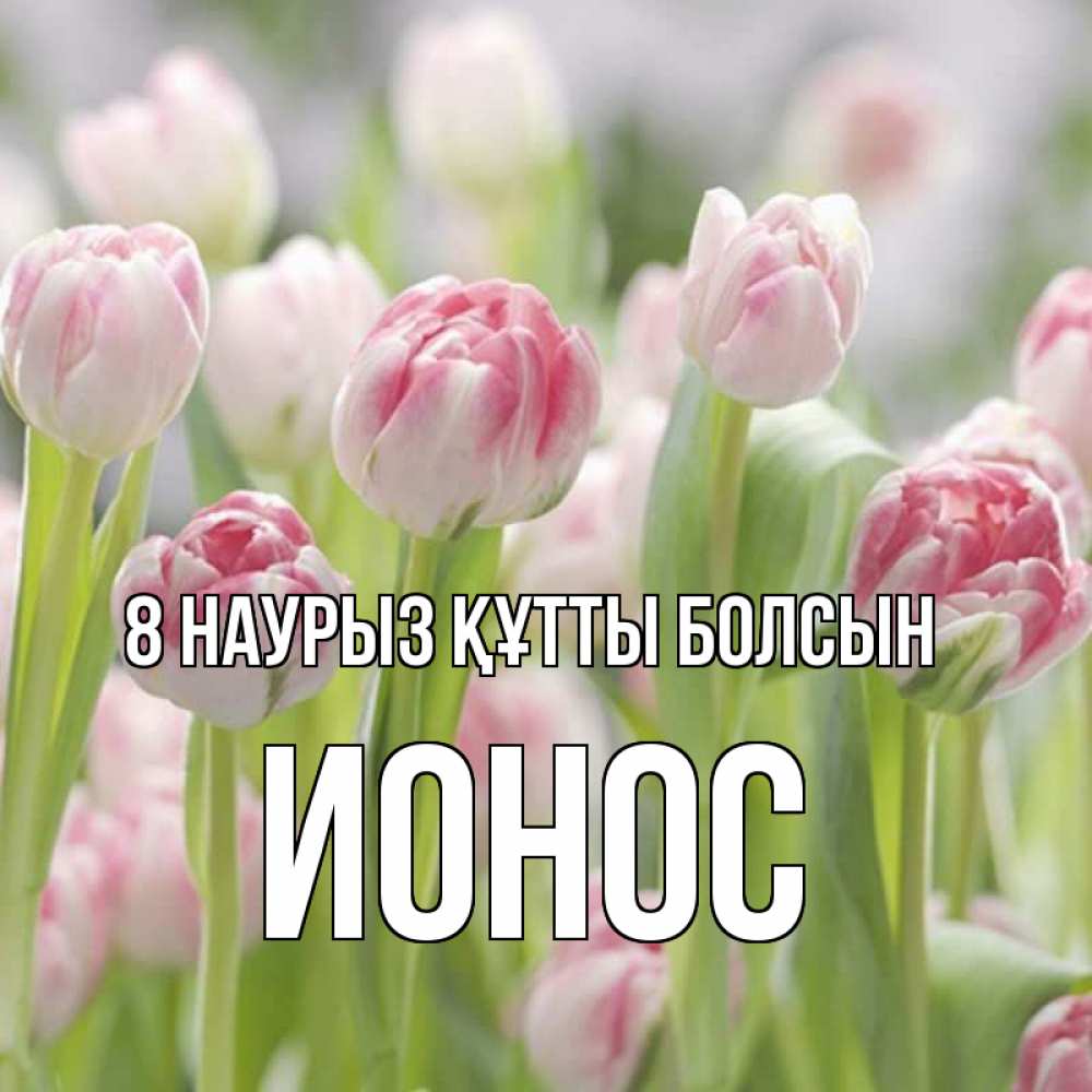 Күн сайын ашық хат с именем, Ионос 8 наурыз құтты болсын цветы Онлайн тегін жүктеп алу тілектері бар керемет карта 