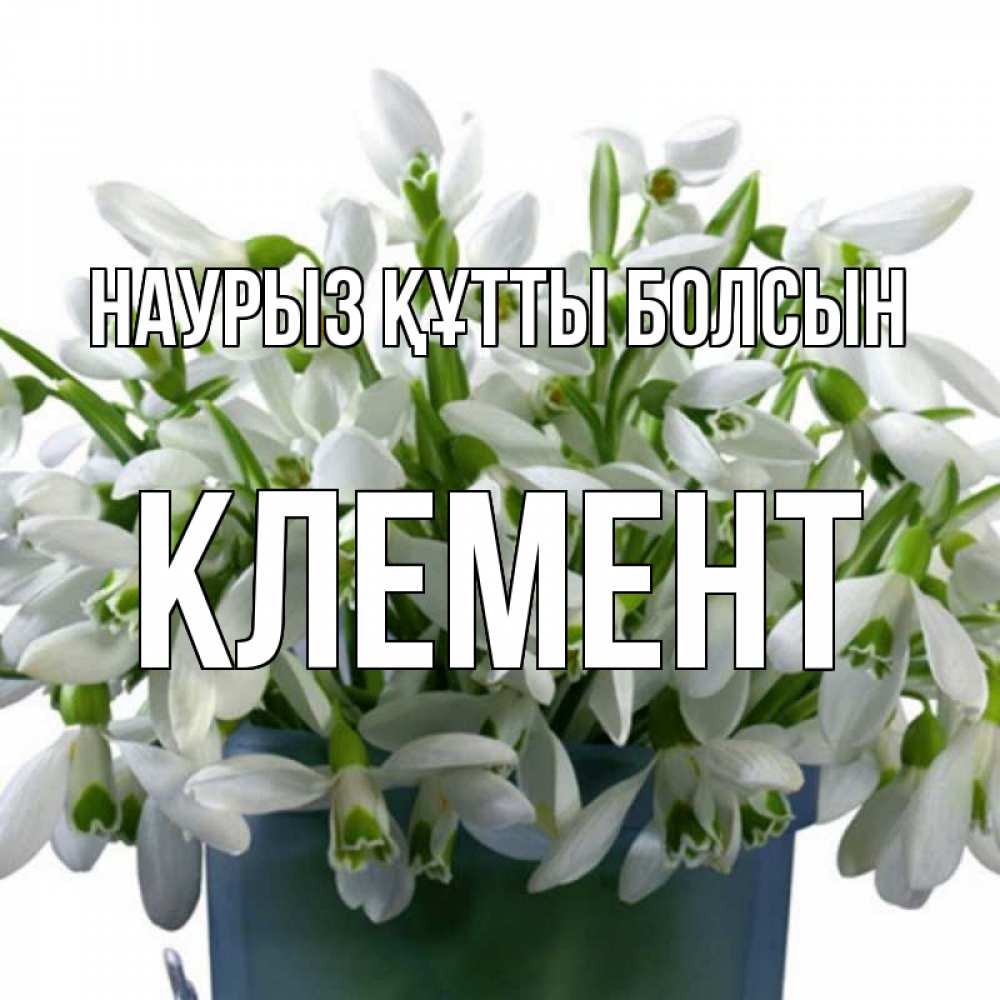 Күн сайын ашық хат с именем, Клемент Наурыз құтты болсын цветы к наурызу Онлайн тегін жүктеп алу тілектері бар керемет карта 