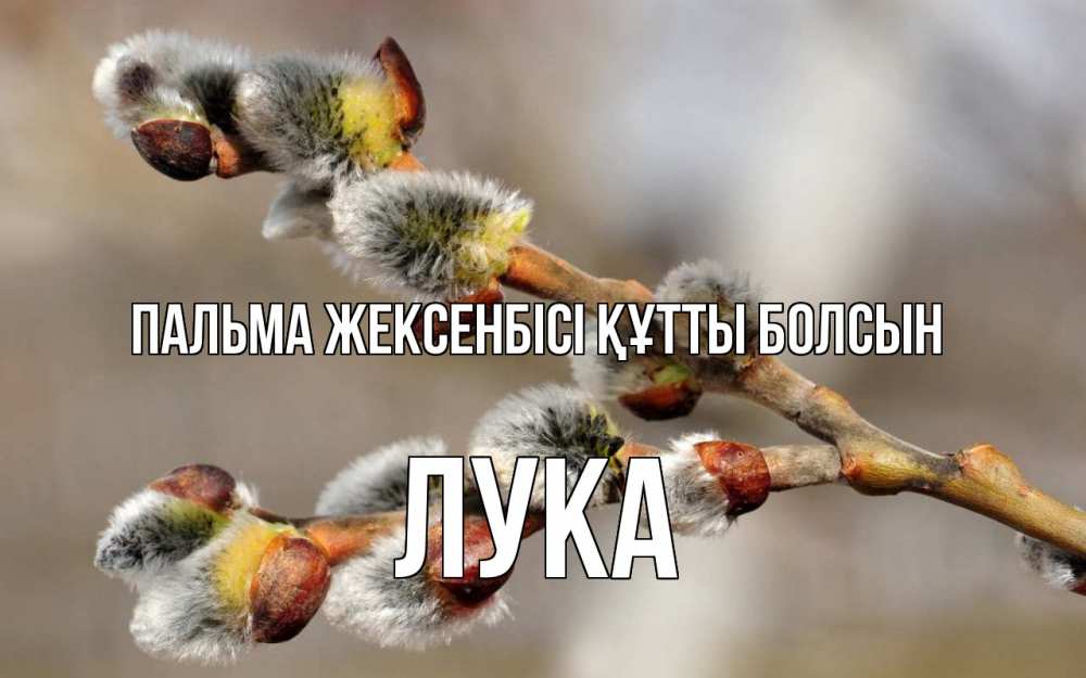 Күн сайын ашық хат с именем, Лука Пальма жексенбісі құтты болсын Верба Онлайн тегін жүктеп алу тілектері бар керемет карта 