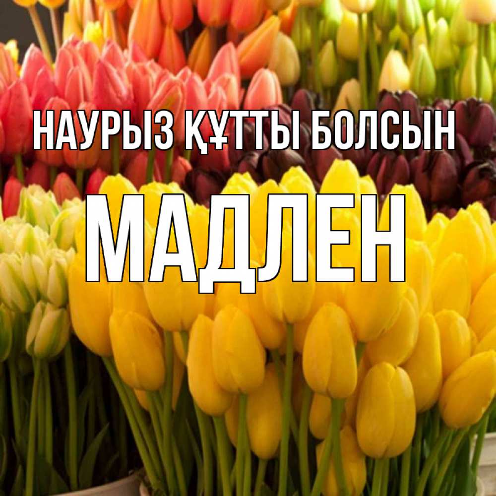 Күн сайын ашық хат с именем, Мадлен Наурыз құтты болсын цветы Онлайн тегін жүктеп алу тілектері бар керемет карта 