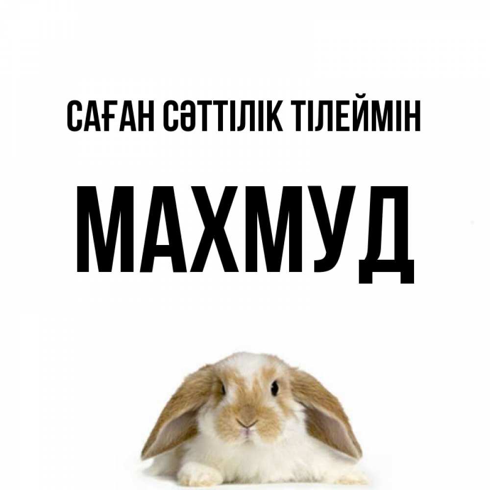 Күн сайын ашық хат с именем, Махмуд Саған сәттілік тілеймін открытки с произвольным текстом который можно вставить в открытку и создать ее самостоятельно бесплатно онлайн Онлайн тегін жүктеп алу тілектері бар керемет карта 
