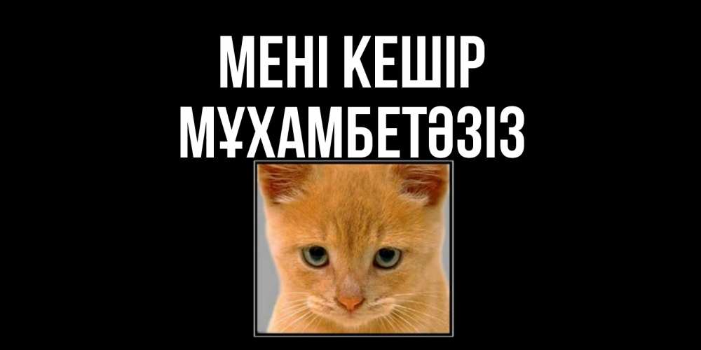 Күн сайын ашық хат с именем, МҰХАМБЕТӘЗІЗ Мені кешір рыжий грустный кот просит прощения Онлайн тегін жүктеп алу тілектері бар керемет карта 