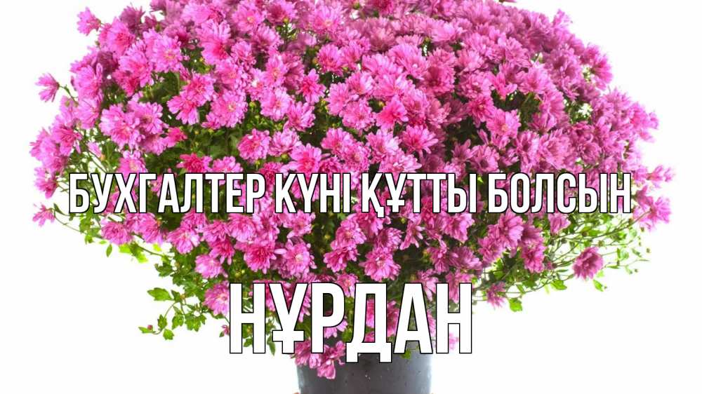 Күн сайын ашық хат с именем, НҰРДАН бухгалтер күні құтты болсын с днем бухгалтера Онлайн тегін жүктеп алу тілектері бар керемет карта 