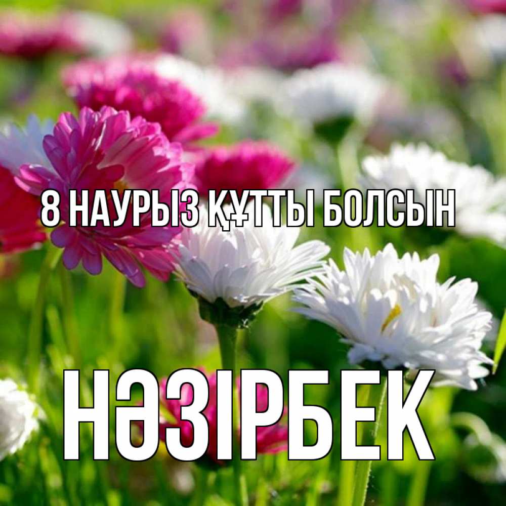 Күн сайын ашық хат с именем, НӘЗІРБЕК 8 наурыз құтты болсын международный женский день 1 Онлайн тегін жүктеп алу тілектері бар керемет карта 