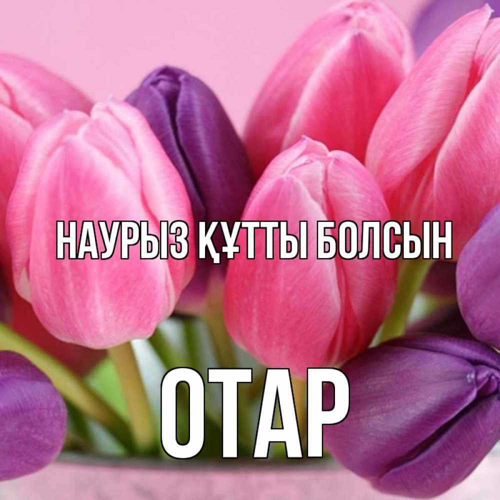 Күн сайын ашық хат с именем, ОТАР Наурыз құтты болсын маме 1 Онлайн тегін жүктеп алу тілектері бар керемет карта 