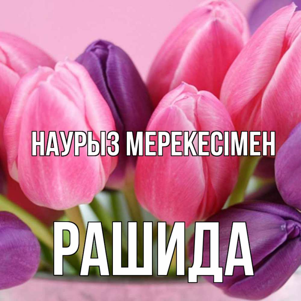 Күн сайын ашық хат с именем, РАШИДА Наурыз мерекесімен маме 1 Онлайн тегін жүктеп алу тілектері бар керемет карта 