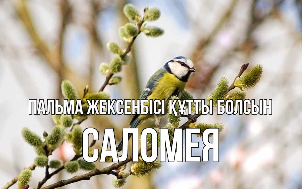 Күн сайын ашық хат с именем, Саломея Пальма жексенбісі құтты болсын верба Онлайн тегін жүктеп алу тілектері бар керемет карта 