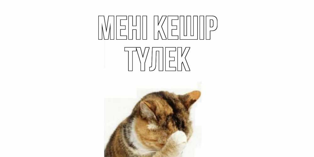 Күн сайын ашық хат с именем, ТҮЛЕК Мені кешір кот Онлайн тегін жүктеп алу тілектері бар керемет карта 