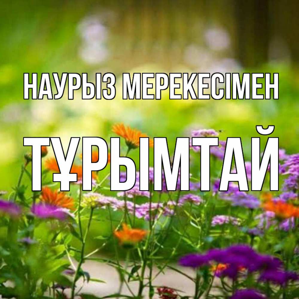 Күн сайын ашық хат с именем, ТҰРЫМТАЙ Наурыз мерекесімен цветы Онлайн тегін жүктеп алу тілектері бар керемет карта 
