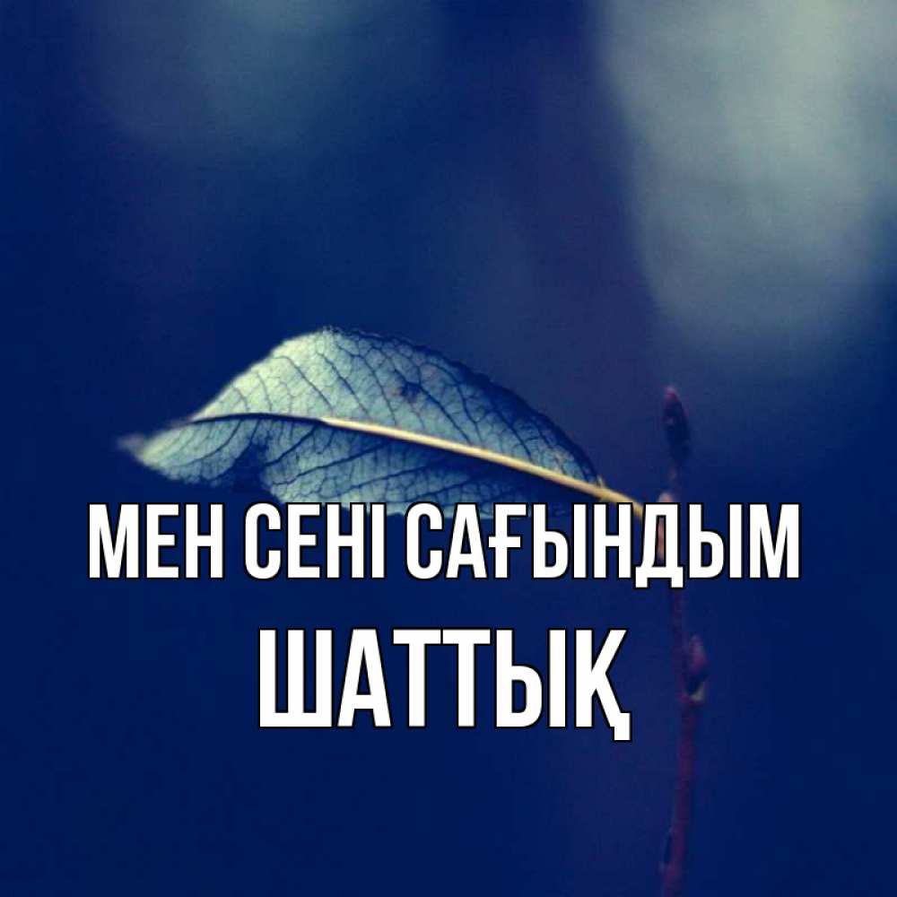 Күн сайын ашық хат с именем, ШАТТЫҚ Мен сені сағындым одна ветка 1 Онлайн тегін жүктеп алу тілектері бар керемет карта 