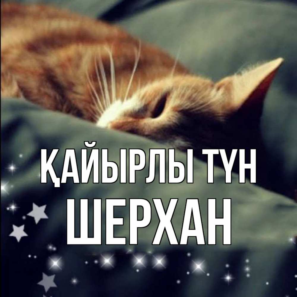 Күн сайын ашық хат с именем, ШЕРХАН Қайырлы түн кроватка Онлайн тегін жүктеп алу тілектері бар керемет карта 