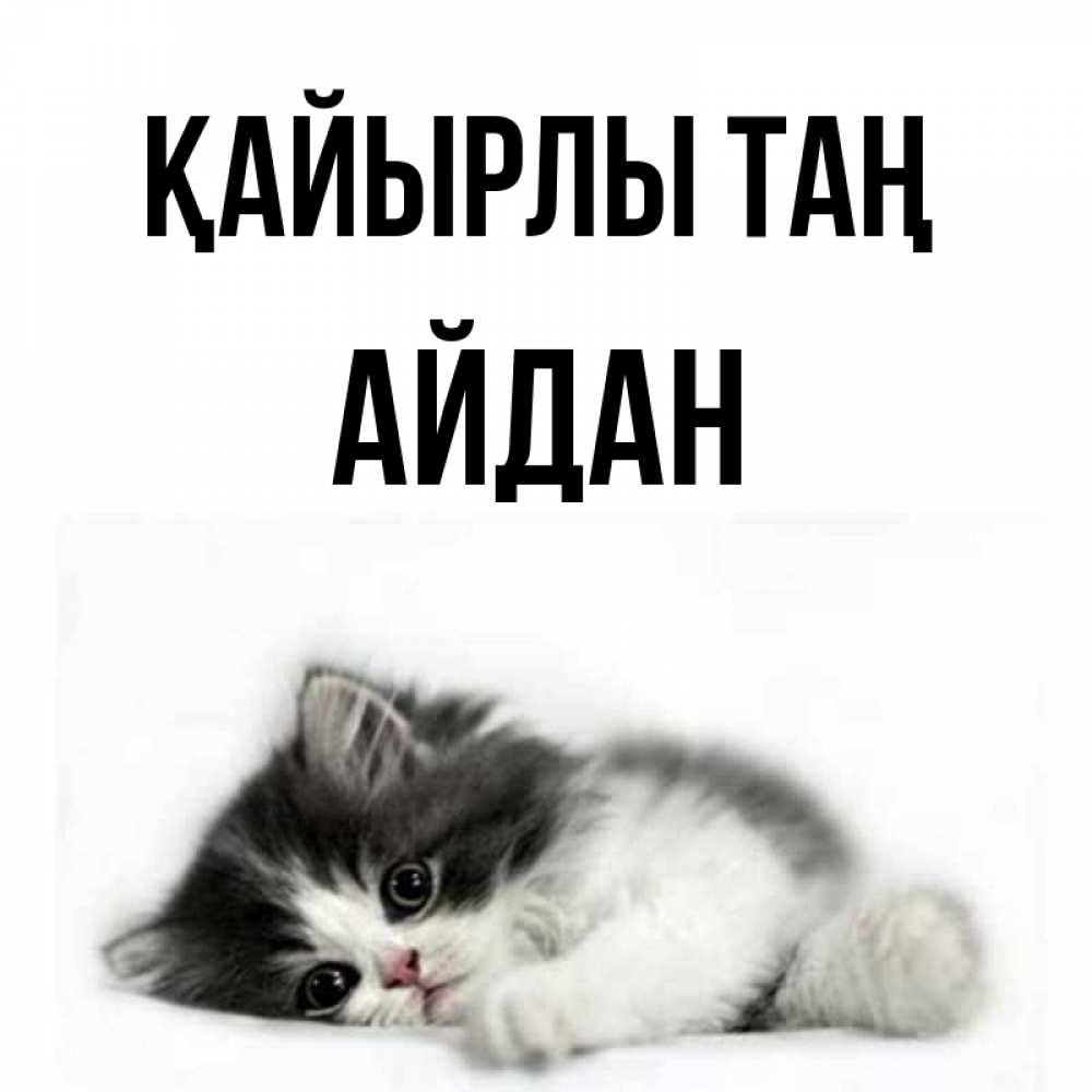 Күн сайын ашық хат с именем, Айдан Қайырлы таң кот лапки Онлайн тегін жүктеп алу тілектері бар керемет карта 