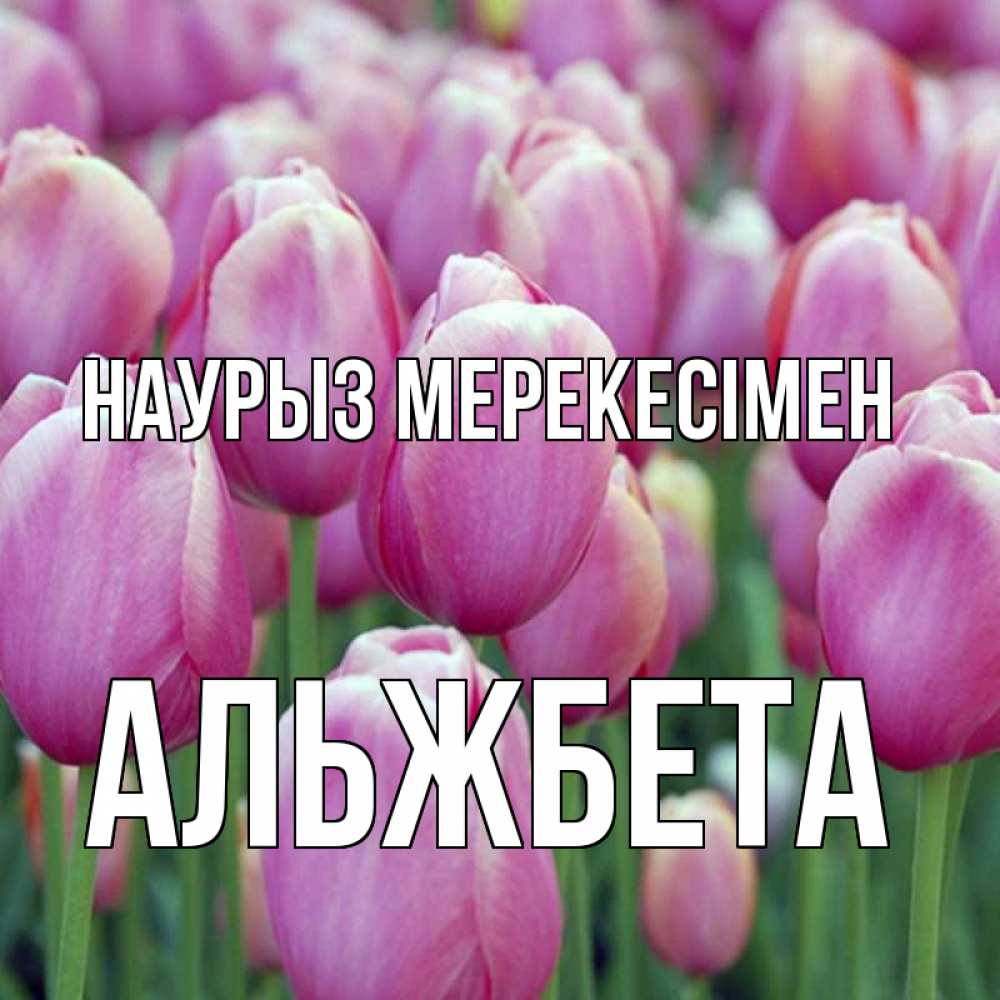 Күн сайын ашық хат с именем, Альжбета Наурыз мерекесімен праздник весны наурыз 69 Онлайн тегін жүктеп алу тілектері бар керемет карта 