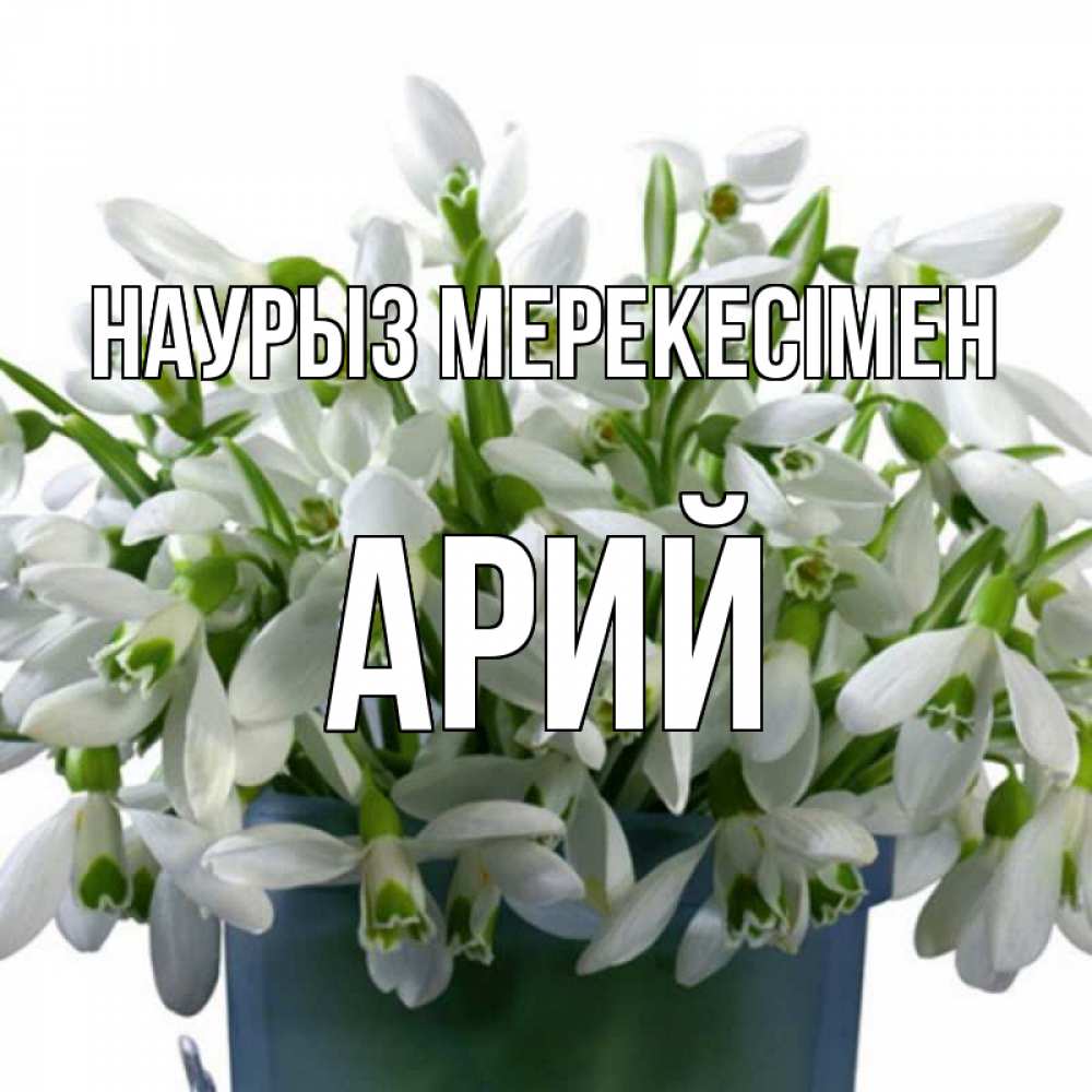 Күн сайын ашық хат с именем, Арий Наурыз мерекесімен цветы к наурызу новый год в Казахстане Онлайн тегін жүктеп алу тілектері бар керемет карта 