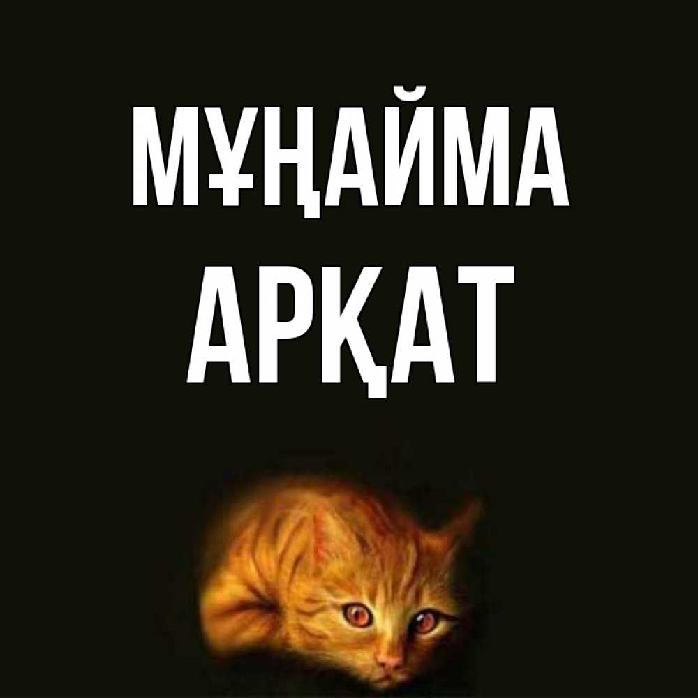 Күн сайын ашық хат с именем, Арқат Мұңайма лежащий кот в темноте Онлайн тегін жүктеп алу тілектері бар керемет карта 