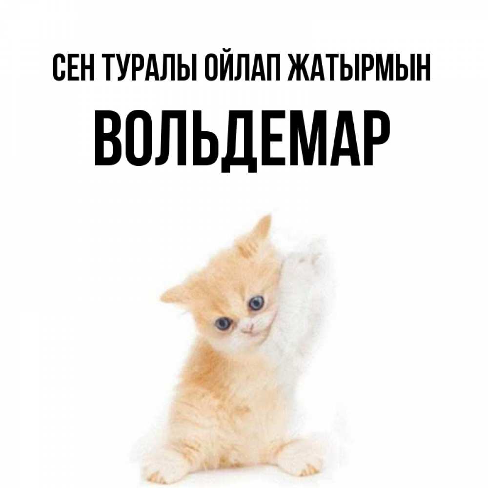 Күн сайын ашық хат с именем, Вольдемар Сен туралы ойлап жатырмын зверушки и милота Онлайн тегін жүктеп алу тілектері бар керемет карта 