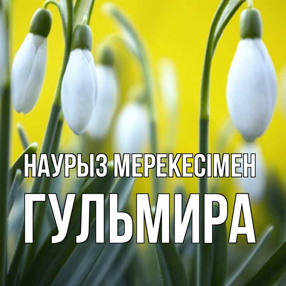 Күн сайын ашық хат с именем, Гульмира Наурыз мерекесімен весенние цветы Онлайн тегін жүктеп алу тілектері бар керемет карта 