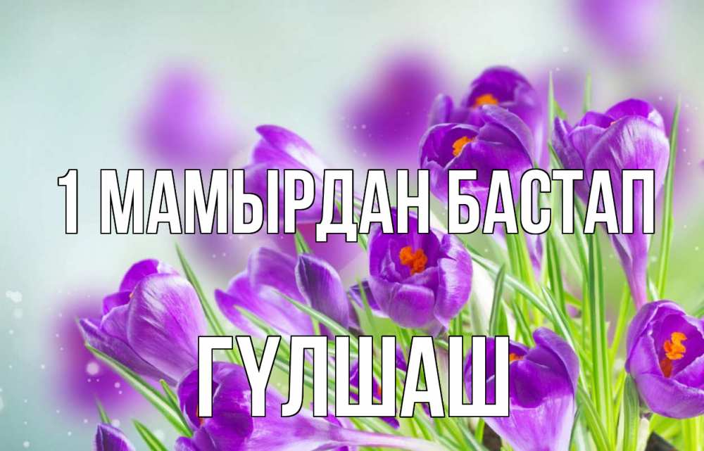 Күн сайын ашық хат с именем, ГҮЛШАШ 1 мамырдан бастап 1 мая Онлайн тегін жүктеп алу тілектері бар керемет карта 