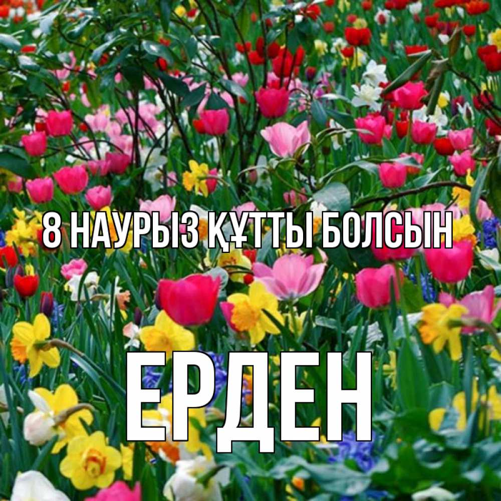 Күн сайын ашық хат с именем, Ерден 8 наурыз құтты болсын с международным женским днем поздравления для женщины Онлайн тегін жүктеп алу тілектері бар керемет карта 