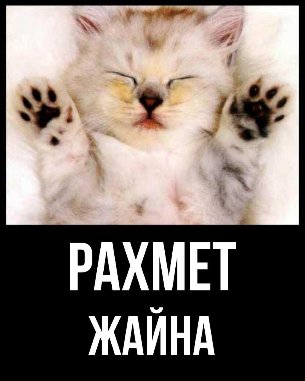 Күн сайын ашық хат с именем, ЖАЙНА рахмет маленький котенок Онлайн тегін жүктеп алу тілектері бар керемет карта 