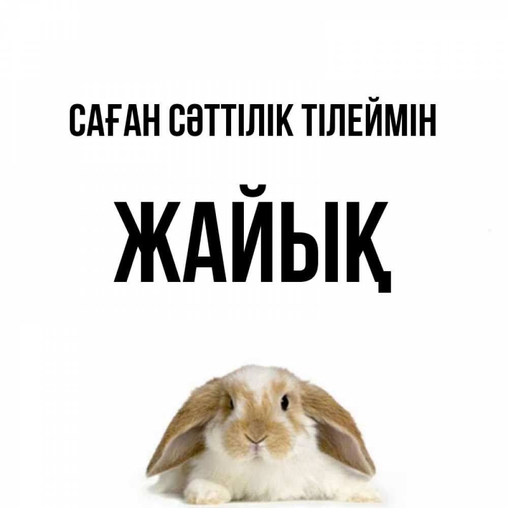 Күн сайын ашық хат с именем, Жайық Саған сәттілік тілеймін открытки с произвольным текстом который можно вставить в открытку и создать ее самостоятельно бесплатно онлайн Онлайн тегін жүктеп алу тілектері бар керемет карта 