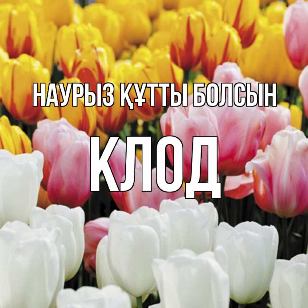 Күн сайын ашық хат с именем, Клод Наурыз құтты болсын разноцветные цветы Онлайн тегін жүктеп алу тілектері бар керемет карта 